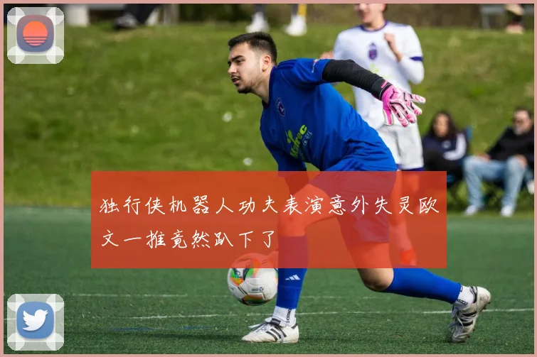 独行侠机器人功夫表演意外失灵欧文一推竟然趴下了