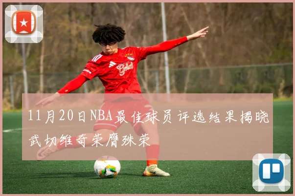 11月20日NBA最佳球员评选结果揭晓武切维奇荣膺殊荣